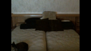 HARDTEKK85  17-12-2021 Recorded Video Webcam